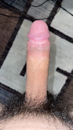 Rate my dick