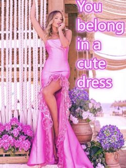 Sissies belong in cute dresses
