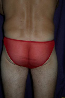 panties daily