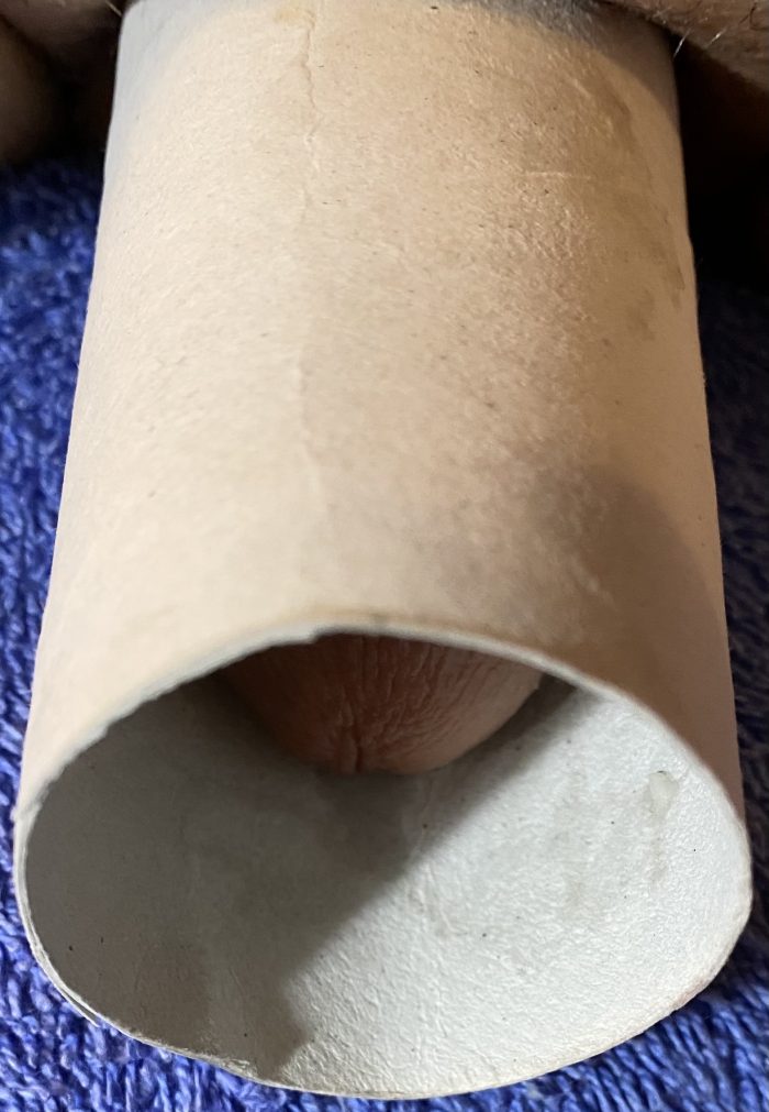 jerkieboi’s erection lost in TP roller!