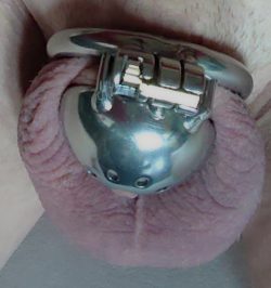 mistress getting me in training for ‘locktober’ in a super short chastity cage