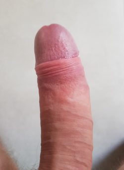 Top view cock pic.