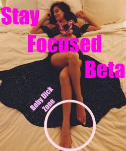 Stay focused beta dick
