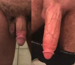 Beta male penis versus Alpha male cock
