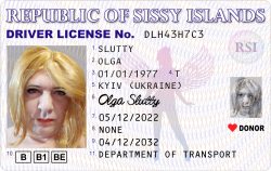 Sissy driver license