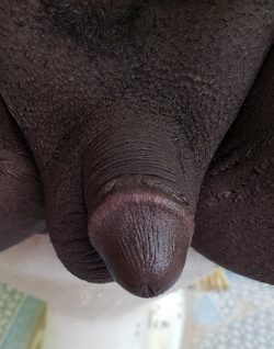 INFERIOR BLACK SISSY CLITTY