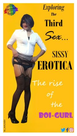 Sissy Erotica Explored