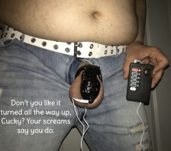 Cucky having a ton of fun in chastity.