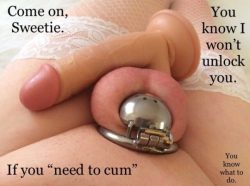 (Repin) Agreed 100%. This is the only way a sissy should cum while in chastity.