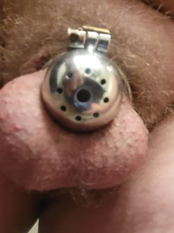 Metal Chastity Cage #1