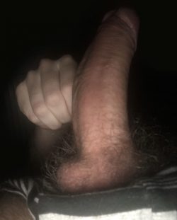 Hairy uncut dick