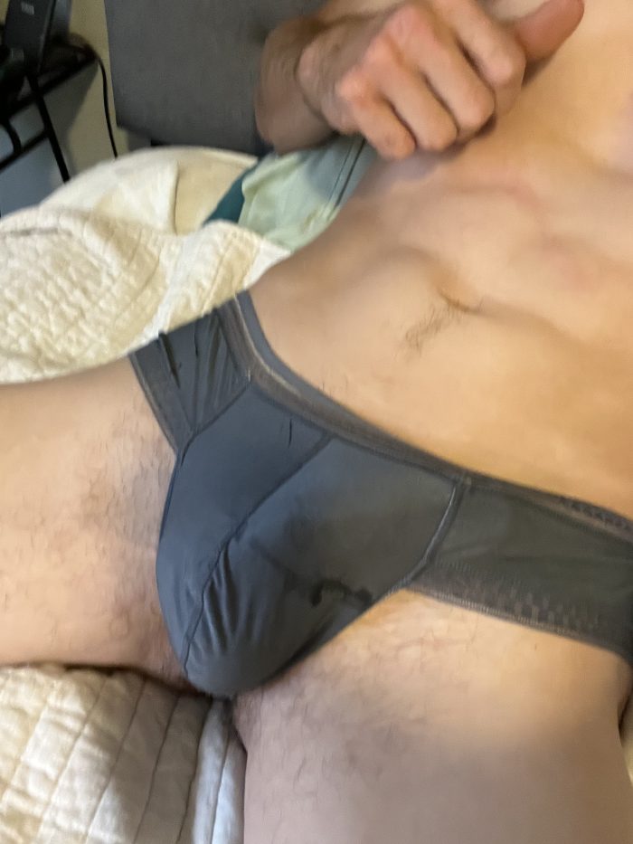 Grey silk panties