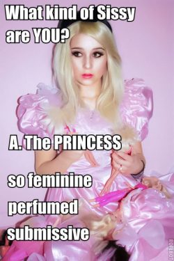 Are you a sissy princess? Yes or No