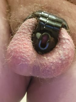 Black Chastity Cage #1