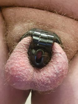 Black Chastity Cage #2