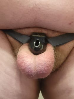 Black Chastity Cage #3