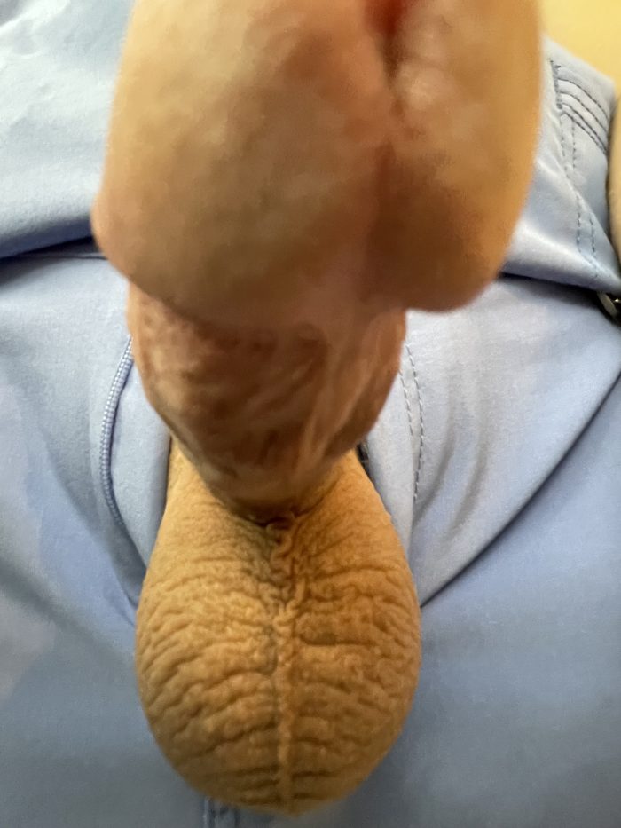 the BEST tight hairless balls