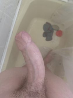 My medium cock