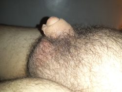 My penis soft