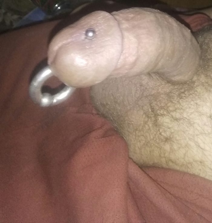 rate my dick