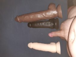 Shrimp dick