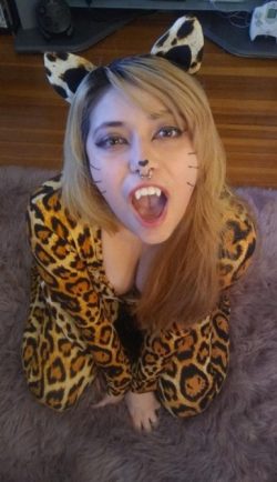Naughty Asian Cosplay Kitty Live Streaming