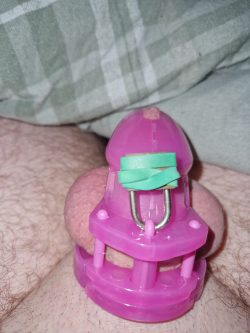 Every comment or like is a day added to chastity. Please tell me what you think of my pathetic c ...