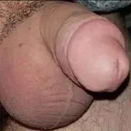 Tiny Dick Sissy Cocksucker Chode Pic