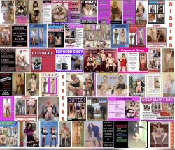 A huge sissy collage