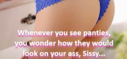 Whenever a sissy sees panties