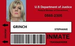 Sissy Inmate Orange Is The New Black costume ID badge.