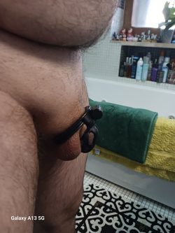 Sissy clit pig belly