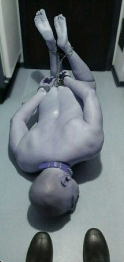 bondage shaved slave boy