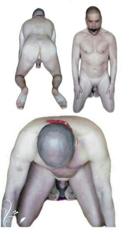 naked fag slave pics