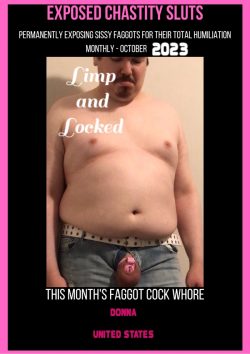 Who made the cover for Locktober’s Exposed Chastity Sluts? Why of course it was Donna! See her l ...