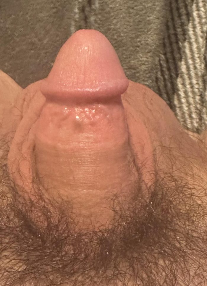 LITTLE DICK SISSY HUSBAND