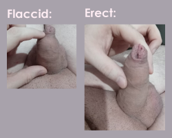 microdick o dicklette?