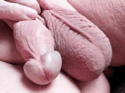 My willy showing off
