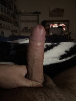 Another morning wood pic