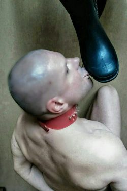 collar slave kneeling boot licking