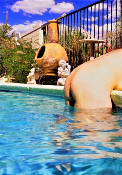 Dat ass by the pool.