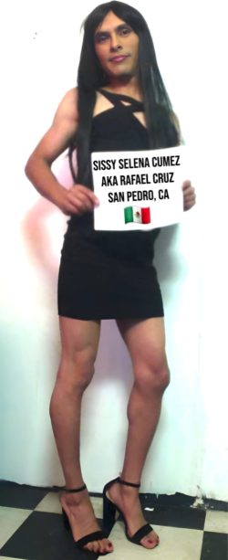 Sissy Selena Cumez AKA Rafael Cruz Exposed Mexican Cockwhore from San Pedro, California. Kik  ...
