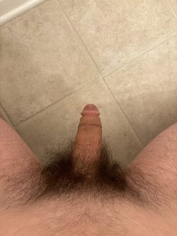 Hairy half chub