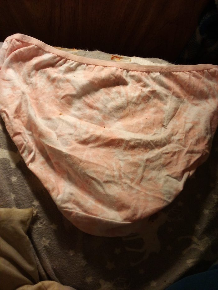 Pink cotton panties