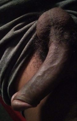 Rate my dick girls