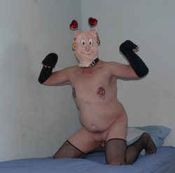 Piggie needs an owner,, oink oink