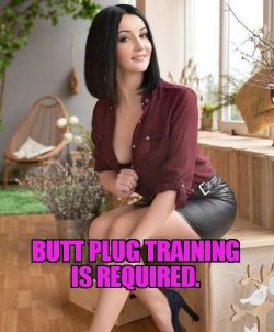Butt plug training is required for all submissive men