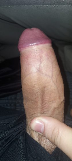 Rate my uncut cock