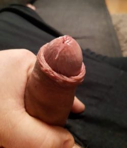 A little bit of precum on my penis tip.