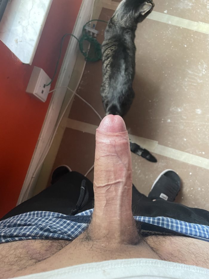 Rate my cock